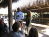 Show en Gator Park, Everglades, Florida