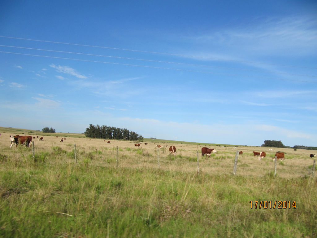 Paisajes de la ruta