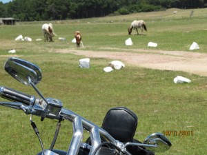 nuestra harley en "el paraiso" Cabo Polonio, Uruguay