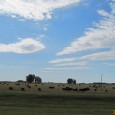 Estamos en Bahía Blanca Nos levantamos temprano, seguimos ruta a Bahía Blanca,  unos 390 km. El tiempo es fantástico, está un poquito nublado y ha bajado la temperatura, es súper […]