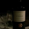 Uxmal, Cabernet Sauvignon es un vino muy bueno, si comparas calidad precio, es de los que nos gusta encontrar, un vino para disfrutar en todos los sentidos.