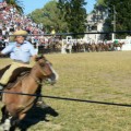 Jineteada Montevideo 2015