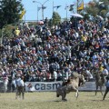 Jineteada Montevideo 2015