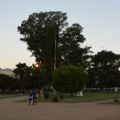 Plaza de San Martin, Venado Tuerto